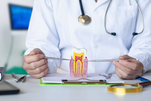 Best Walk-In Emergency Dentist in Huntley, IL